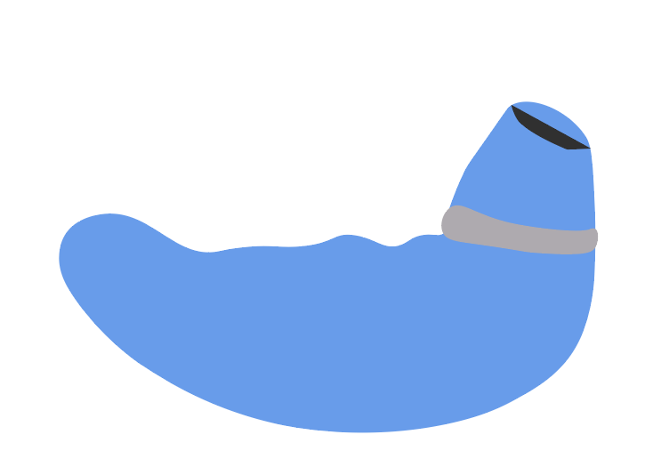Suction Toy